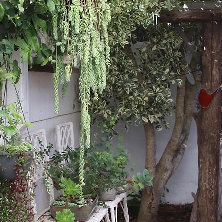 Gilcrest Place Guest House Paternoster Esterno foto