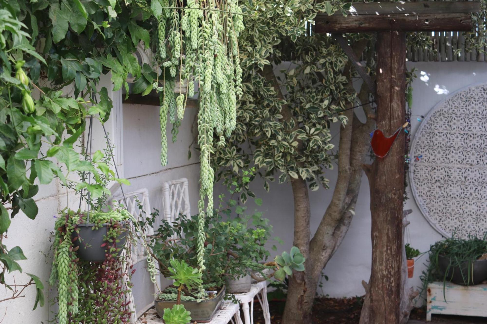 Gilcrest Place Guest House Paternoster Esterno foto